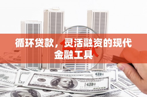 利辛循环贷款，灵活融资的现代金融工具