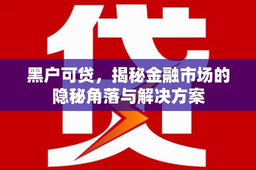 利辛黑户可贷，揭秘金融市场的隐秘角落与解决方案