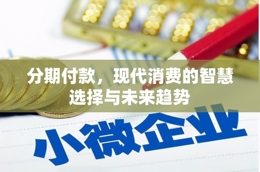 利辛分期付款，现代消费的智慧选择与未来趋势