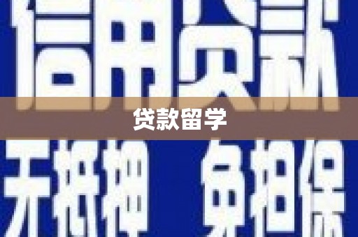 利辛贷款留学