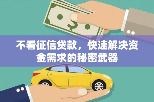 利辛不看征信贷款，快速解决资金需求的秘密武器