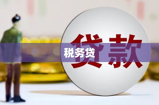 利辛税务贷