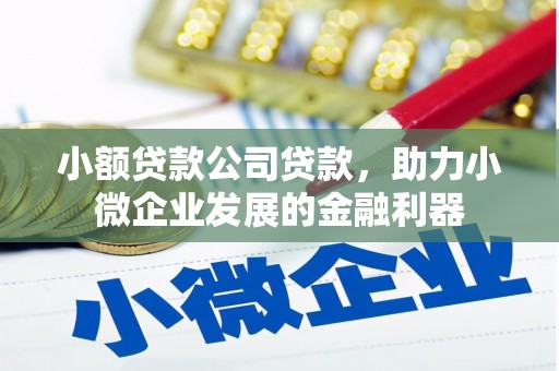 利辛小额贷款公司贷款，助力小微企业发展的金融利器