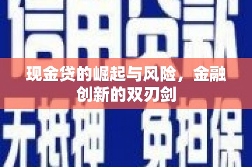 利辛现金贷的崛起与风险，金融创新的双刃剑