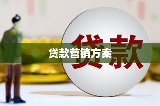 利辛贷款营销方案