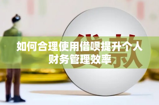 利辛如何合理使用借呗提升个人财务管理效率
