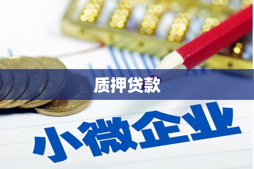 利辛质押贷款