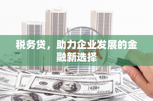 利辛税务贷，助力企业发展的金融新选择