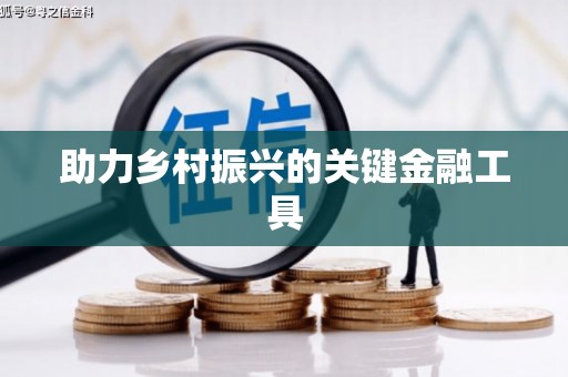 利辛助力乡村振兴的关键金融工具