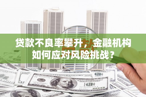 利辛贷款不良率攀升，金融机构如何应对风险挑战？