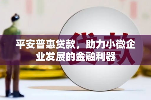 利辛平安普惠贷款，助力小微企业发展的金融利器