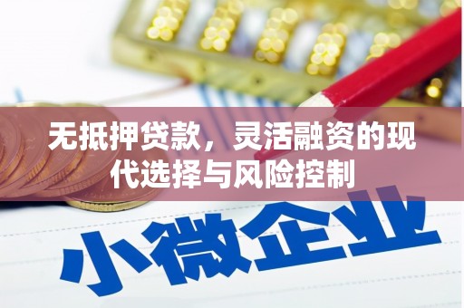 利辛无抵押贷款，灵活融资的现代选择与风险控制