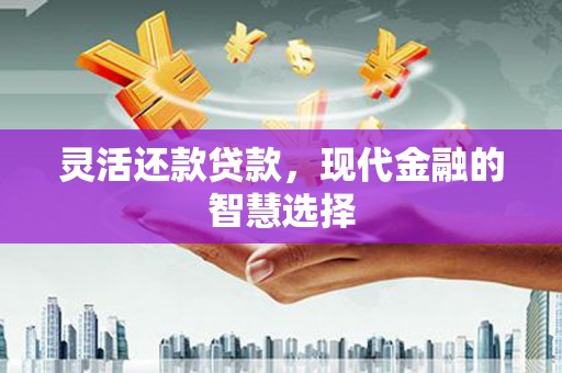 利辛灵活还款贷款，现代金融的智慧选择