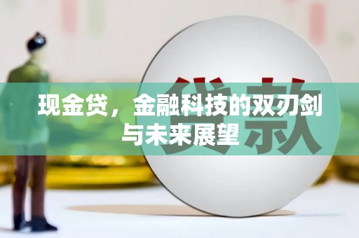 利辛现金贷，金融科技的双刃剑与未来展望