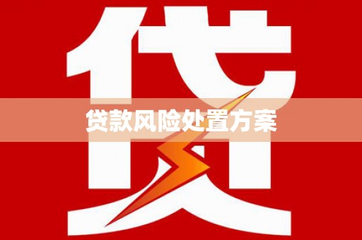 利辛贷款风险处置方案