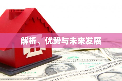 利辛解析、优势与未来发展