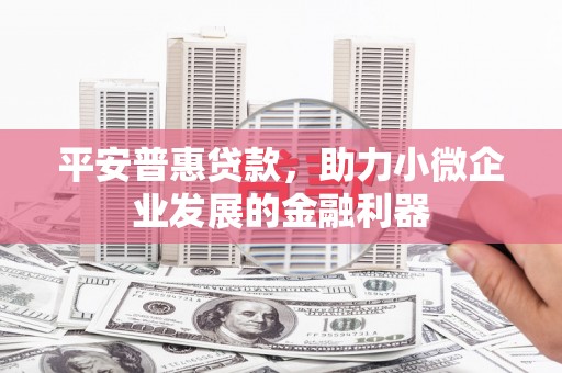 利辛平安普惠贷款，助力小微企业发展的金融利器