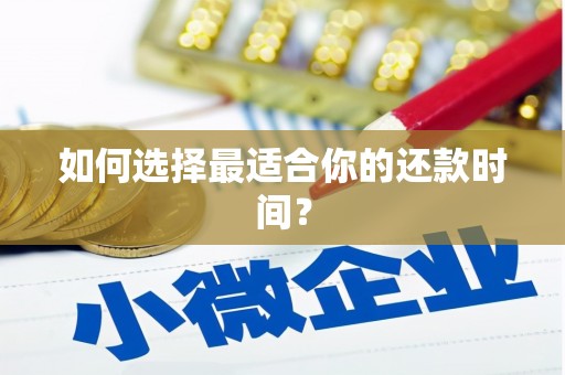 利辛如何选择最适合你的还款时间？