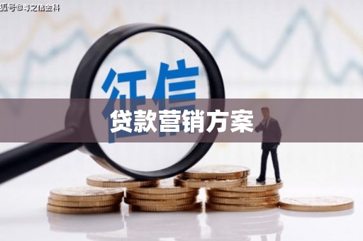 利辛贷款营销方案
