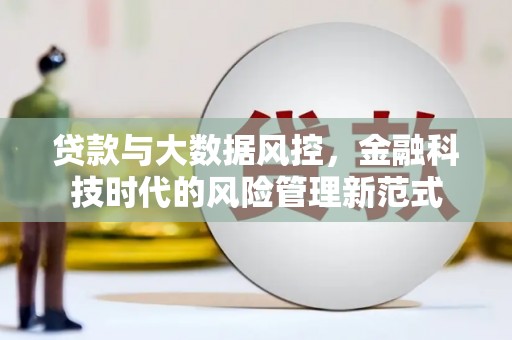 利辛贷款与大数据风控，金融科技时代的风险管理新范式
