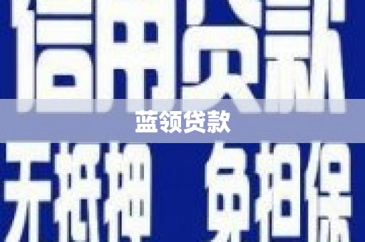 利辛蓝领贷款