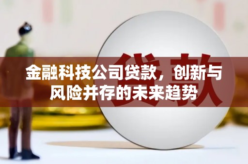 利辛金融科技公司贷款，创新与风险并存的未来趋势
