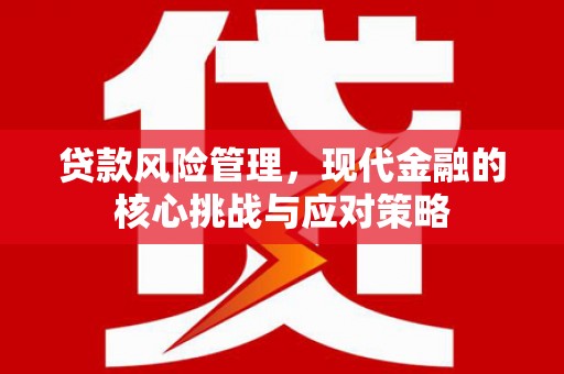 利辛贷款风险管理，现代金融的核心挑战与应对策略