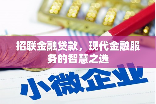 利辛招联金融贷款，现代金融服务的智慧之选