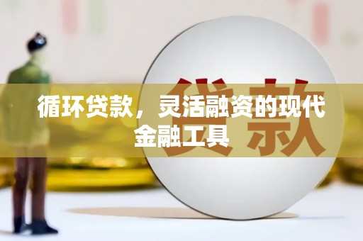 利辛循环贷款，灵活融资的现代金融工具