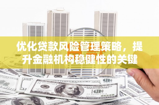 利辛优化贷款风险管理策略，提升金融机构稳健性的关键