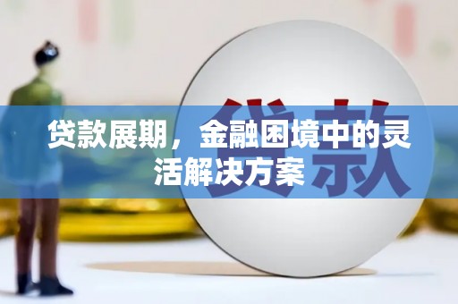 利辛贷款展期，金融困境中的灵活解决方案