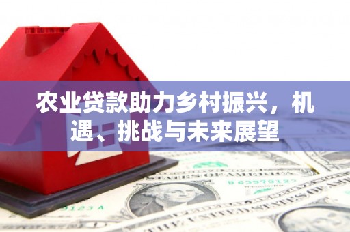 利辛农业贷款助力乡村振兴，机遇、挑战与未来展望