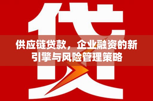 利辛供应链贷款，企业融资的新引擎与风险管理策略