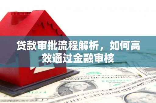 利辛贷款审批流程解析，如何高效通过金融审核