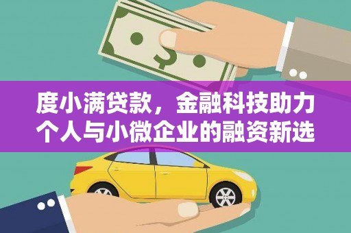 利辛度小满贷款，金融科技助力个人与小微企业的融资新选择