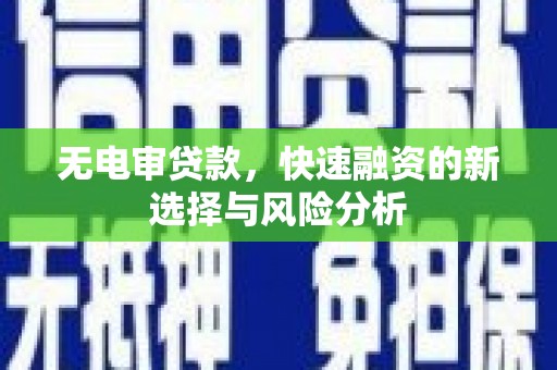 利辛无电审贷款，快速融资的新选择与风险分析