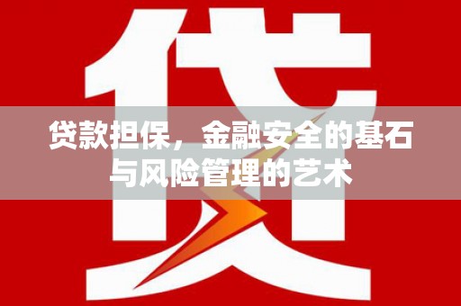 利辛贷款担保，金融安全的基石与风险管理的艺术