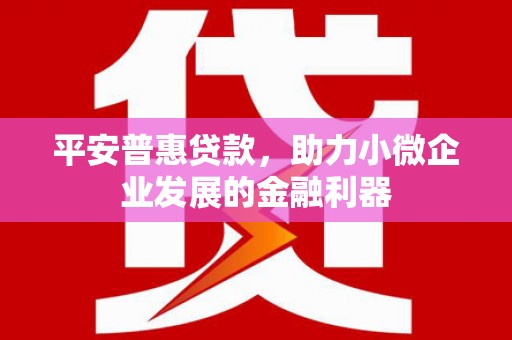 利辛平安普惠贷款，助力小微企业发展的金融利器