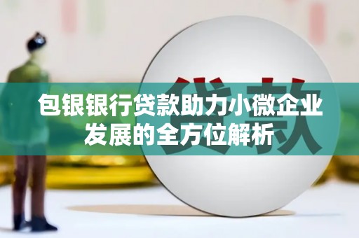 利辛包银银行贷款助力小微企业发展的全方位解析