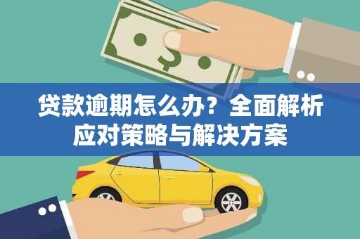 利辛贷款逾期怎么办？全面解析应对策略与解决方案