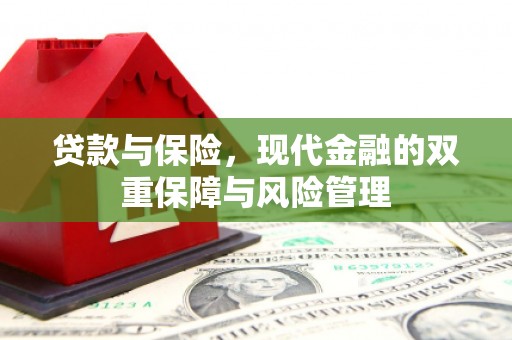 利辛贷款与保险，现代金融的双重保障与风险管理