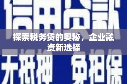 利辛探索税务贷的奥秘，企业融资新选择