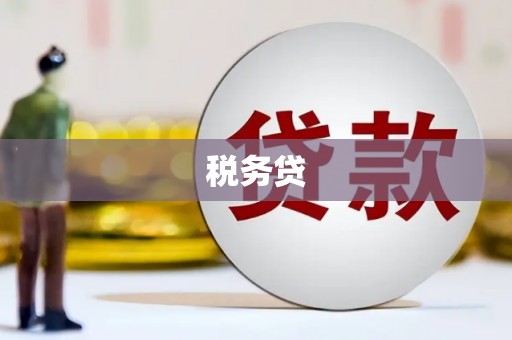 利辛税务贷