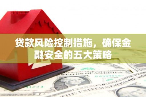 利辛贷款风险控制措施，确保金融安全的五大策略