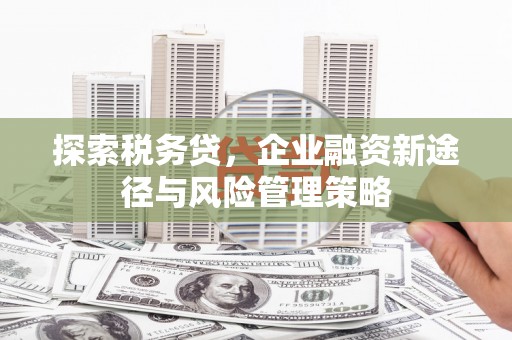 利辛探索税务贷，企业融资新途径与风险管理策略