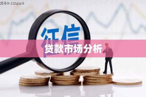 利辛贷款市场分析