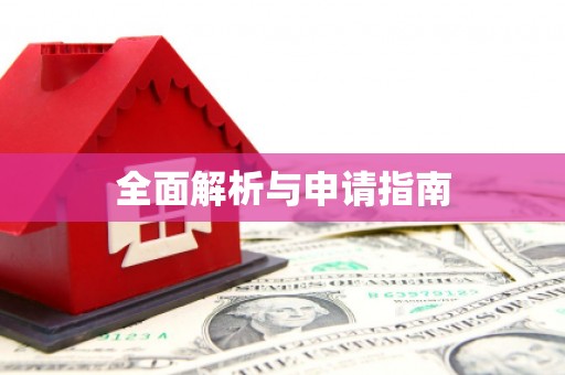 利辛全面解析与申请指南