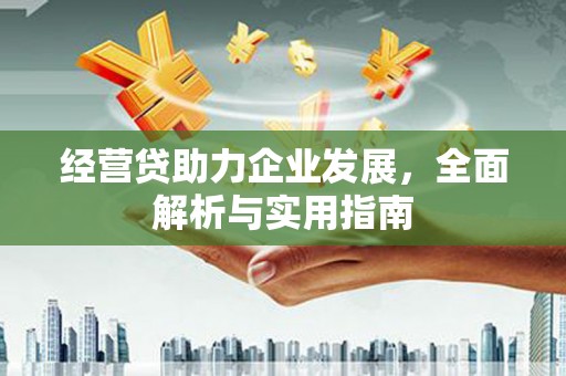 利辛经营贷助力企业发展，全面解析与实用指南