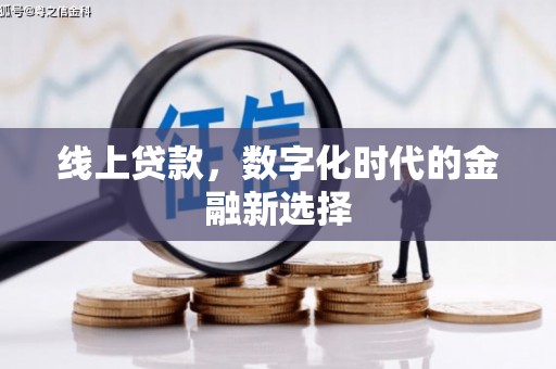 利辛线上贷款，数字化时代的金融新选择