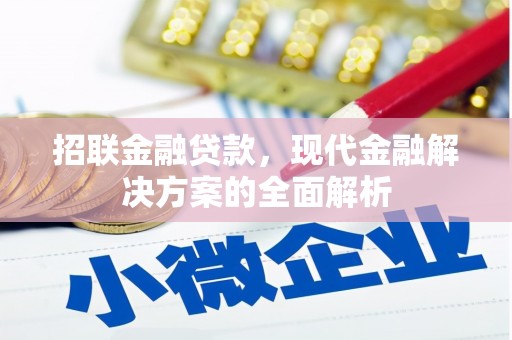 利辛招联金融贷款，现代金融解决方案的全面解析